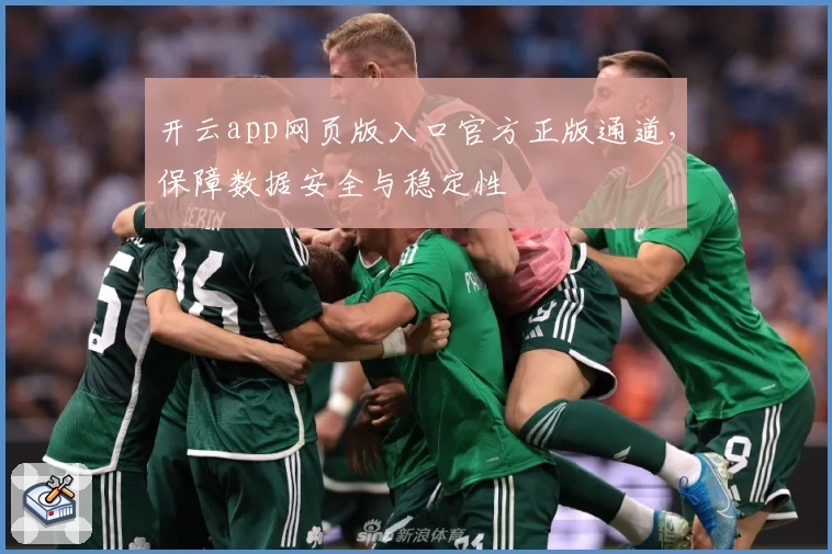 开云app网页版入口官方正版通道，保障数据安全与稳定性