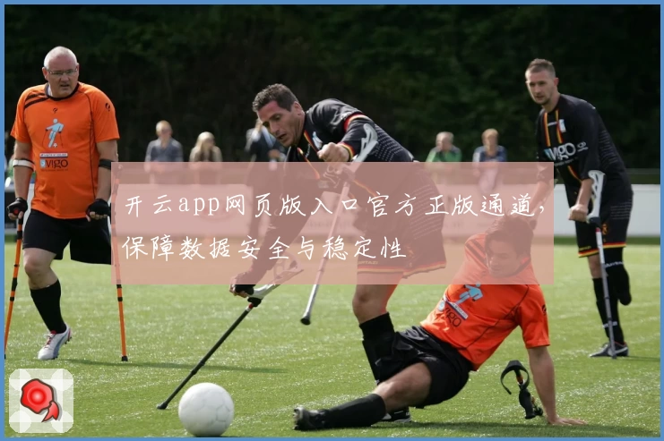 开云app网页版入口官方正版通道,保障数据安全与稳定性