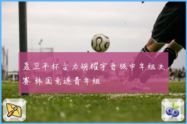 聂卫平杯古力胡耀宇晋级中年组决赛 韩国竞逐青年组